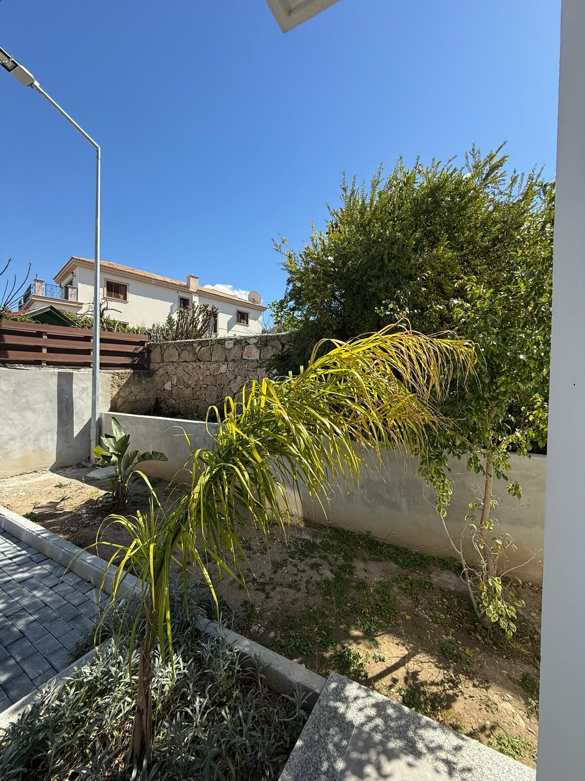 View of the apartment's back yard: neighboring house, palm tree, green hedge