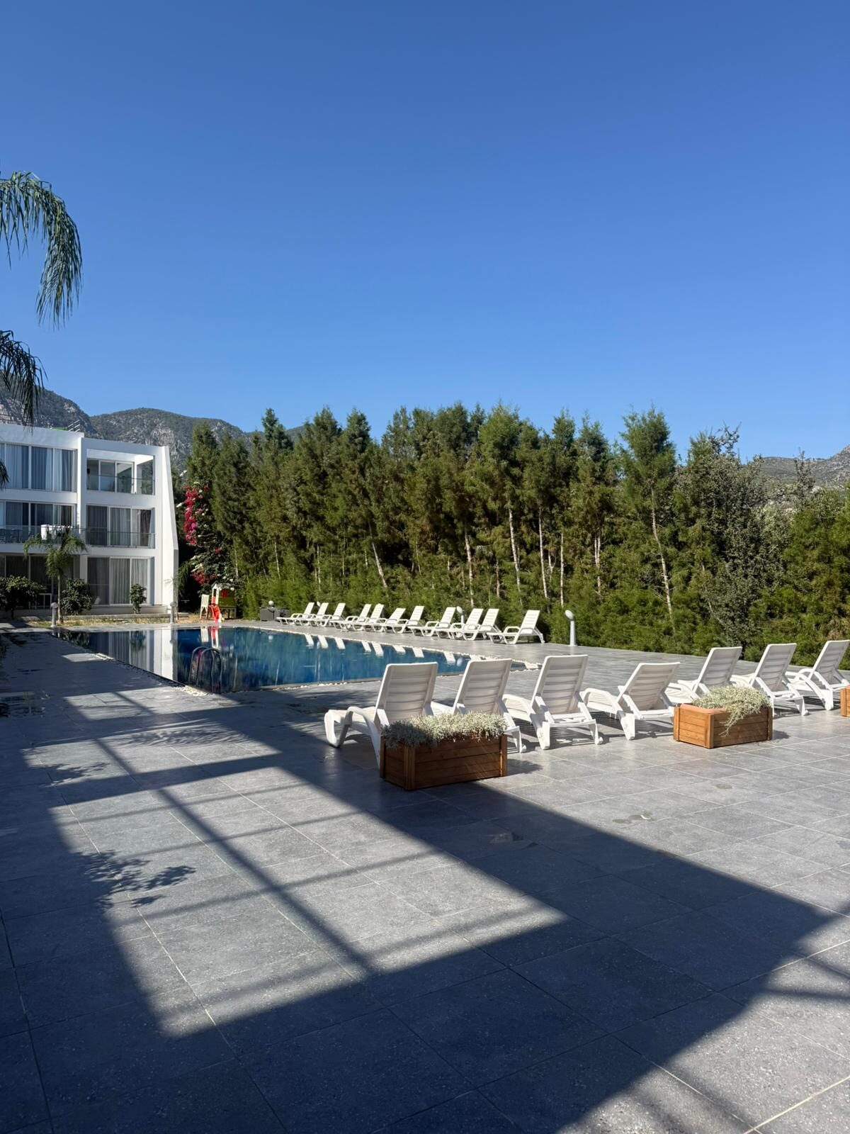 Wide view of the Coliseum Court pool with hedges and mountains in the background
