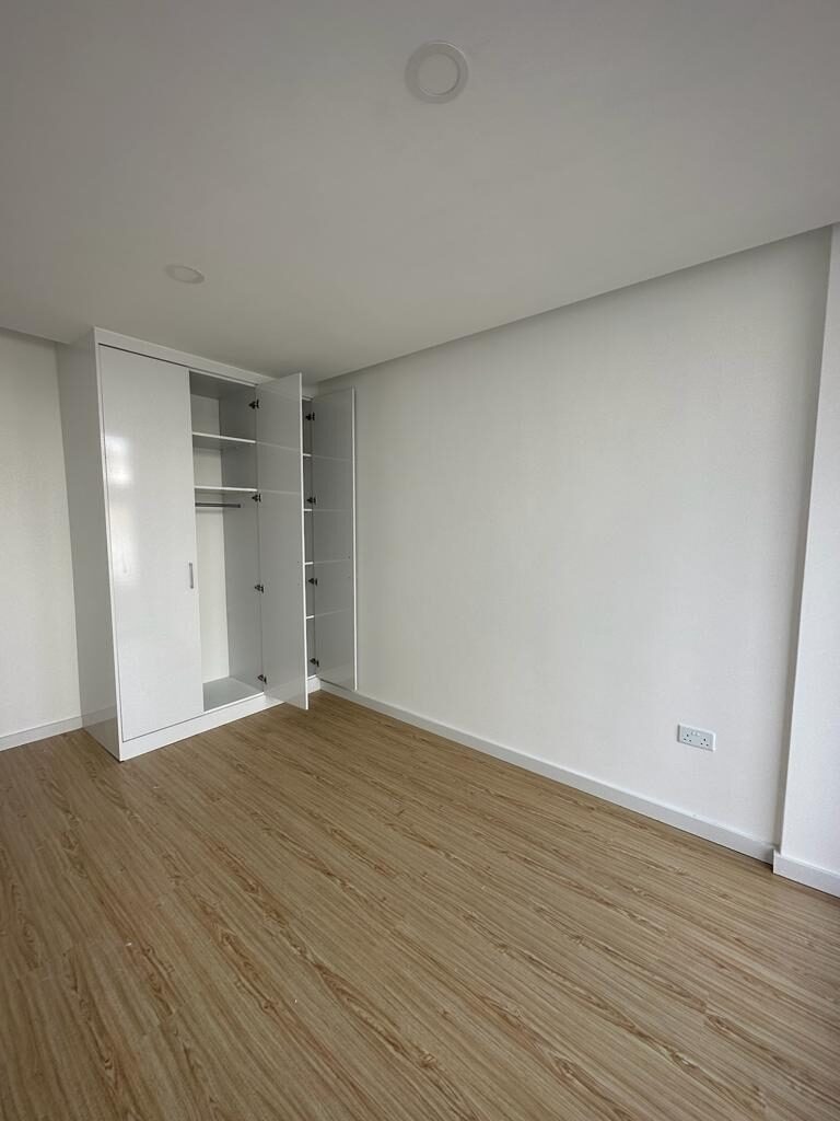 Second built-in wardrobe in the apartment's bedroom