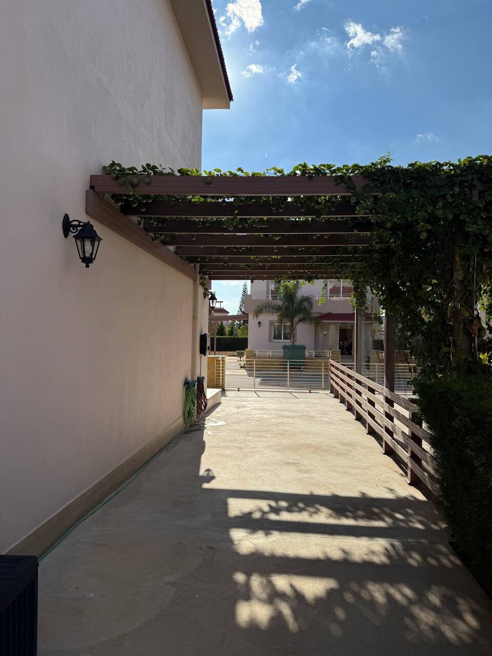 Pergola covered with greenery over the paved terrace along the house